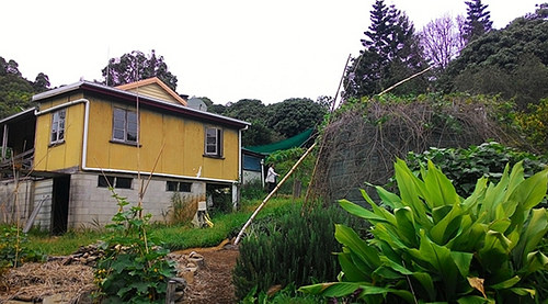 屋顶右边的水塔，用来回收雨水，并在水塔周围种植攀藤作物降温。摄影：林贞妤。