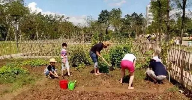 点击打开原图